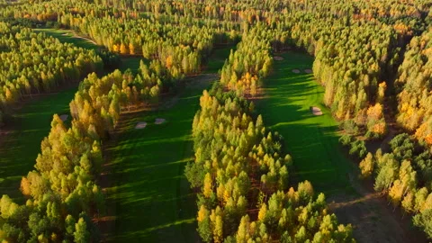 Autumn forest. Golf course in Forest fall. Forest in golden colors of autumn. Stock Footage 219899904
