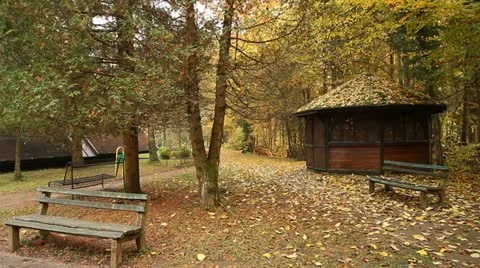 Autumn Forest House Stock Footage 11627523