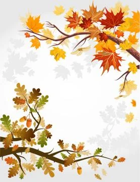 Autumn forest Stock Illustration