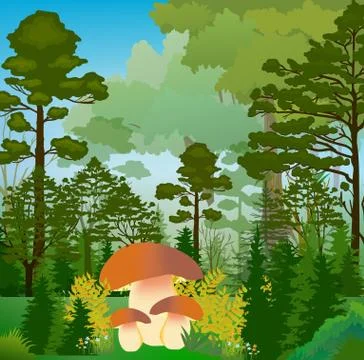 Autumn in the forest Stock Illustration