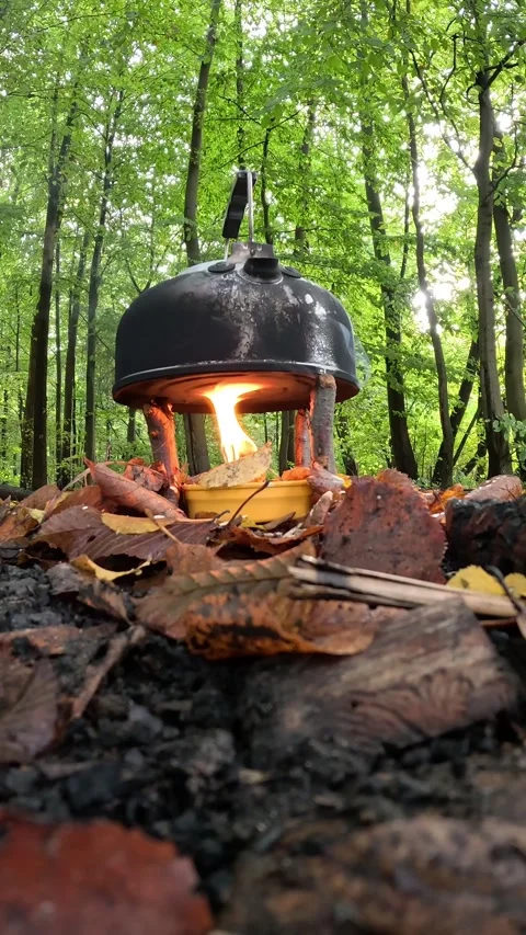 Autumn Forest: Kettle Boiling Over a Campfire Stock Footage 253871446