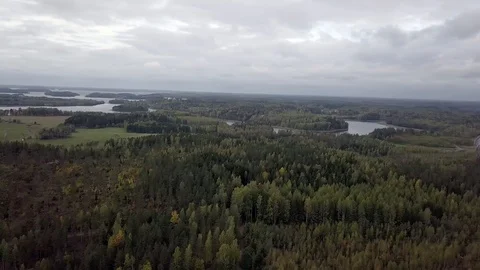 Autumn forest with lake behind Stock Footage 107663158