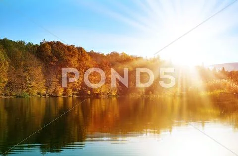 Autumn forest on the lake shore Stock Photos