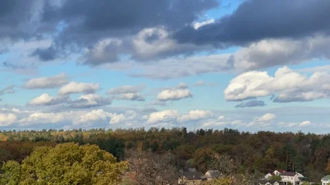 Autumn Forest Landscape Under Dramatic Cloudy Sky Stock-Footage 335941746