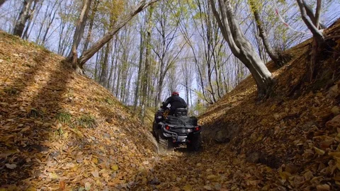 Autumn forest. The man in a special form on the ATV. The racer rides on the wood Stock Footage 104010941