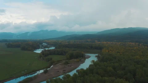 Autumn forest by the mountain river Stock Footage 252514855