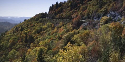 Autumn forest on the mountain slope Stock Footage 103400918