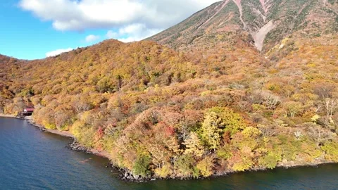 Autumn Forest | Mountain Slope | Lake Edge | Nature - 4K Aerial Video Stock Footage 329052759