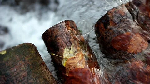 Autumn in the forest mountain stream. Beautiful autumn forest, rocks covered Stock Footage 90835984