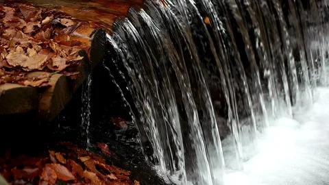 Autumn in the forest mountain stream. Beautiful autumn forest, rocks covered Stock Footage 90836745