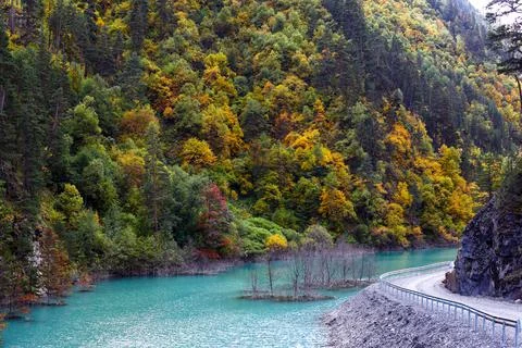 Autumn forest in the mountains of Georgia. Stock Photos