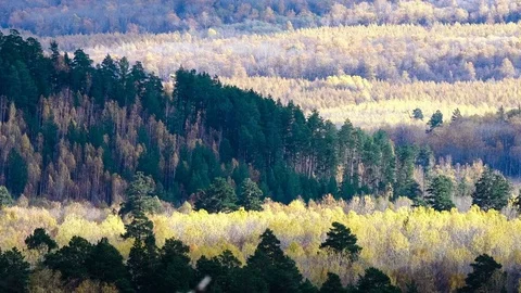 Autumn forest in the mountains. Timelapse. Shadows of clouds floating across the Stock Footage 73982391