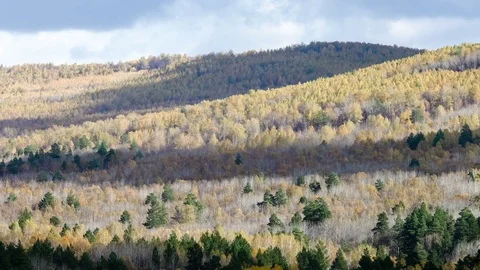 Autumn forest in the mountains. Timelapse. Shadows of clouds floating across the Stock Footage 74085913