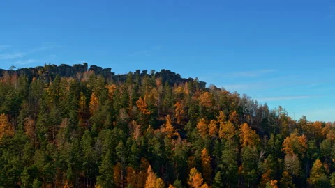 Autumn forest on the mountainside Stock Footage 173324987