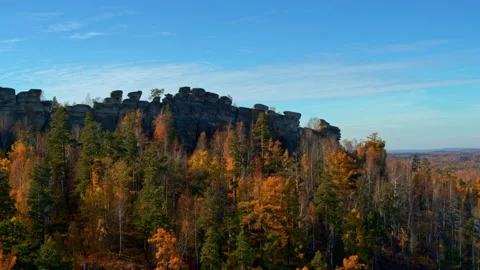 Autumn forest on the mountainside Stock Footage 177663848