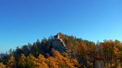 Autumn forest on the mountainside Stock Footage 180530512