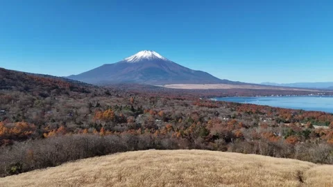 Autumn Forest | Mt. Fuji | Lake - 4K Aerial Video Stock Footage 329054646