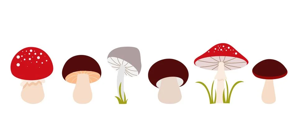 Autumn forest mushroom set Vector elements Illustrazione stock