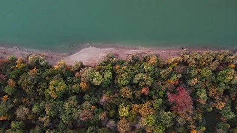 Autumn forest next to river shore top down drone shot. Teal water and fall color Stock Footage 163544401