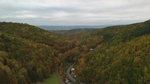 Autumn Forest Path from Above – Czech Republic Nature in Fall Stock Footage 318981376