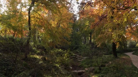 Autumn forest path and golden maple trees in Tianping Mountain Suzhou Stock Footage 345626733