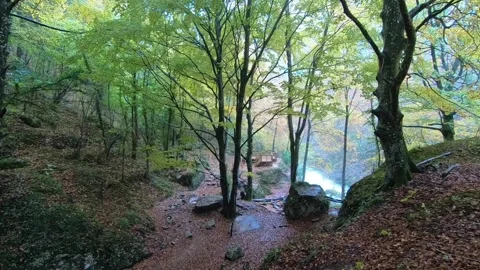 Autumn Forest Path Overlooking River Through Golden Trees Stock Footage 344034452