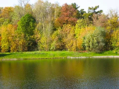 Autumn forest Stock Photos