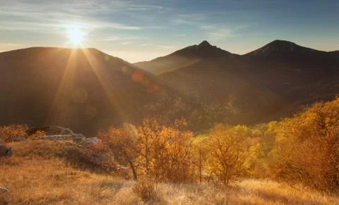 Autumn forest Stock Photos