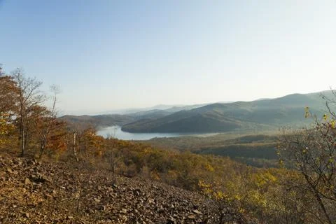 Autumn forest Stock Photos