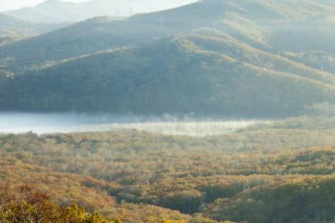 Autumn forest Foto stock