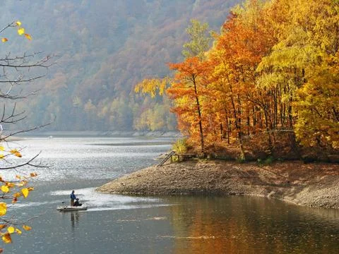 Autumn Forest Stock Photos