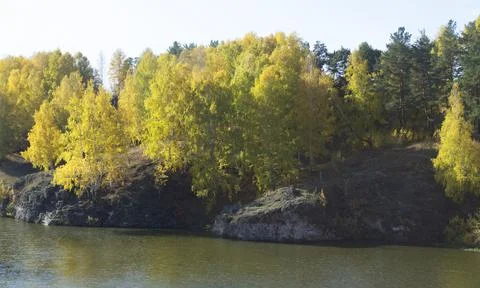 Autumn forest Foto stock