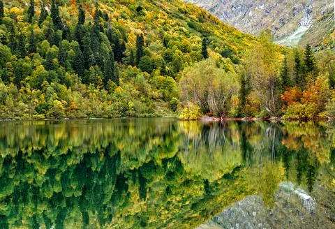 Autumn forest 스톡 사진