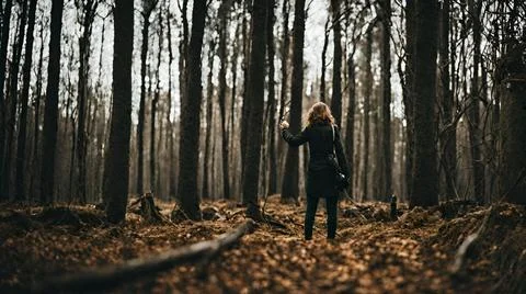 Autumn forest Stock Photos