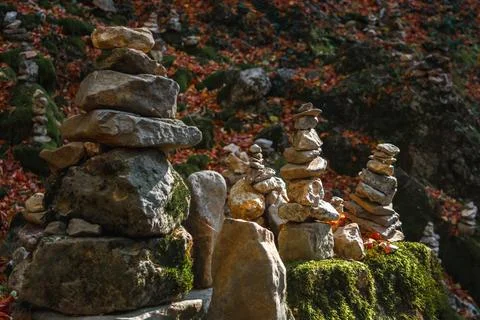 Autumn forest Stock Photos