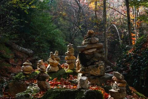 Autumn forest Stock Photos