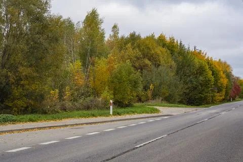 Autumn forest in the rays of the sun and the road in autumn colors. Day. Stock Photos