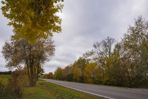 Autumn forest in the rays of the sun and the road in autumn colors. Day. Stock Photos