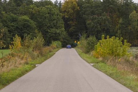 Autumn forest in the rays of the sun and the road in autumn colors. Day. Stock Photos