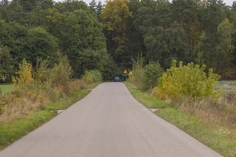 Autumn forest in the rays of the sun and the road in autumn colors. Day. Stock Photos