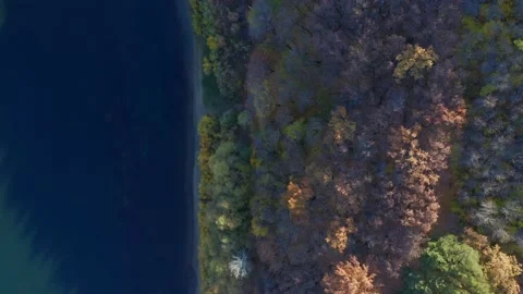 Autumn forest in the rays of the sun. Places for walks in silence, the rustle of Stock Footage 163403529