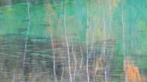 Autumn forest reflected in lake Stock Footage 68665349