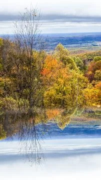 Autumn Forest Reflected in Mirror Creating Surreal Landscape Illusion Stock Photos