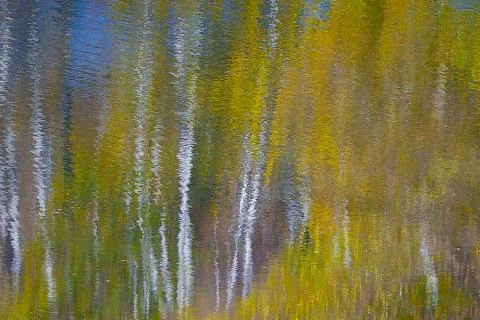 Autumn forest reflected in the river Stock Illustration