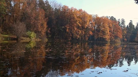 Autumn forest with reflection in the lake Stock Footage 124009080