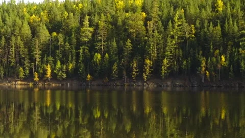 Autumn Forest Reflection in Southern Urals River, Russia Stock Footage 325465009