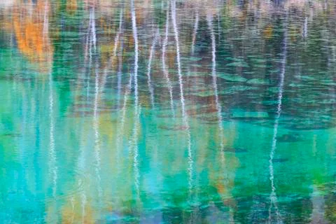 Autumn forest reflection in water Stock Photos