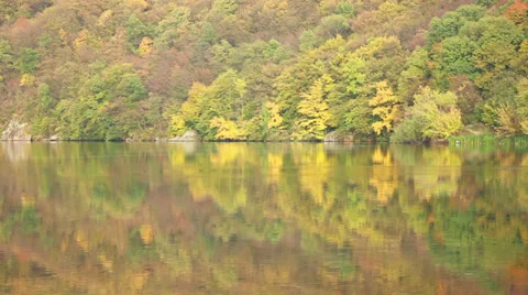 Autumn Forest River Stock Footage 31092771