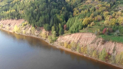 Autumn forest with a river Stock Footage 117048732