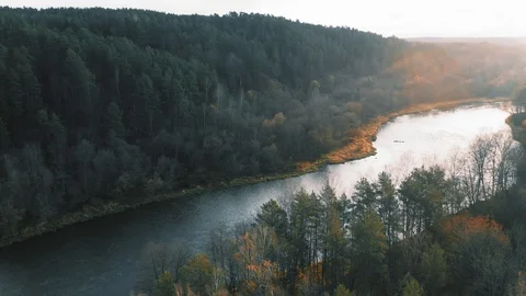 Autumn forest river Neris, Lithuania, aerial view. Natural wild woods at fall Stock Footage 118981165